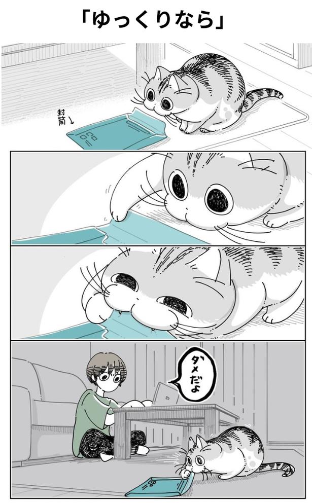 『ゆっくりなら』 画像提供：キュルZ@kyuryuZ