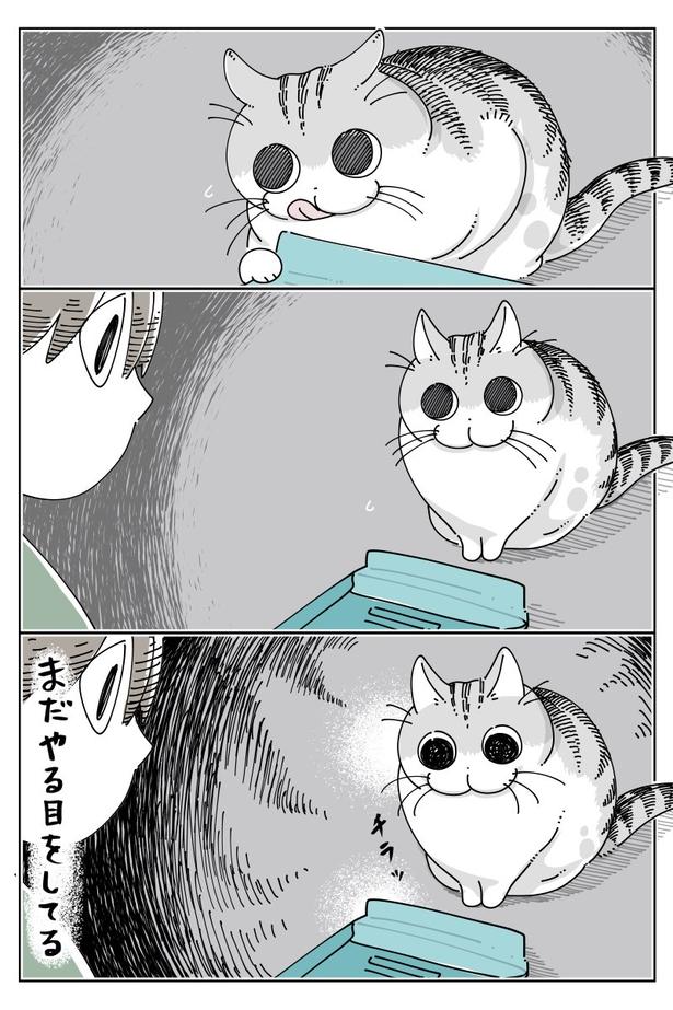 02 画像提供：キュルZ@kyuryuZ