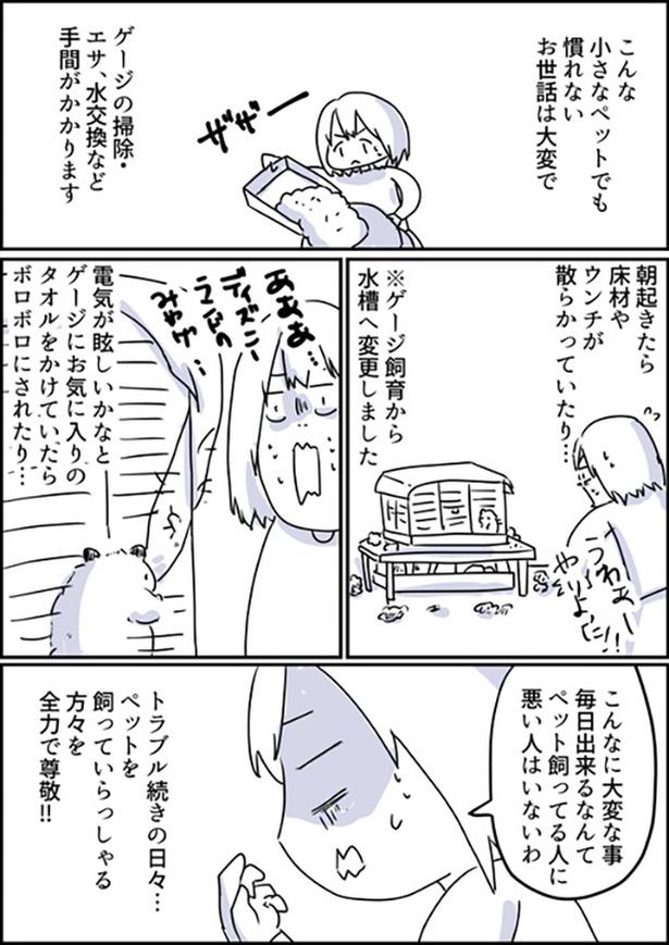 1-2 画像提供：しゃけなかほいさん
