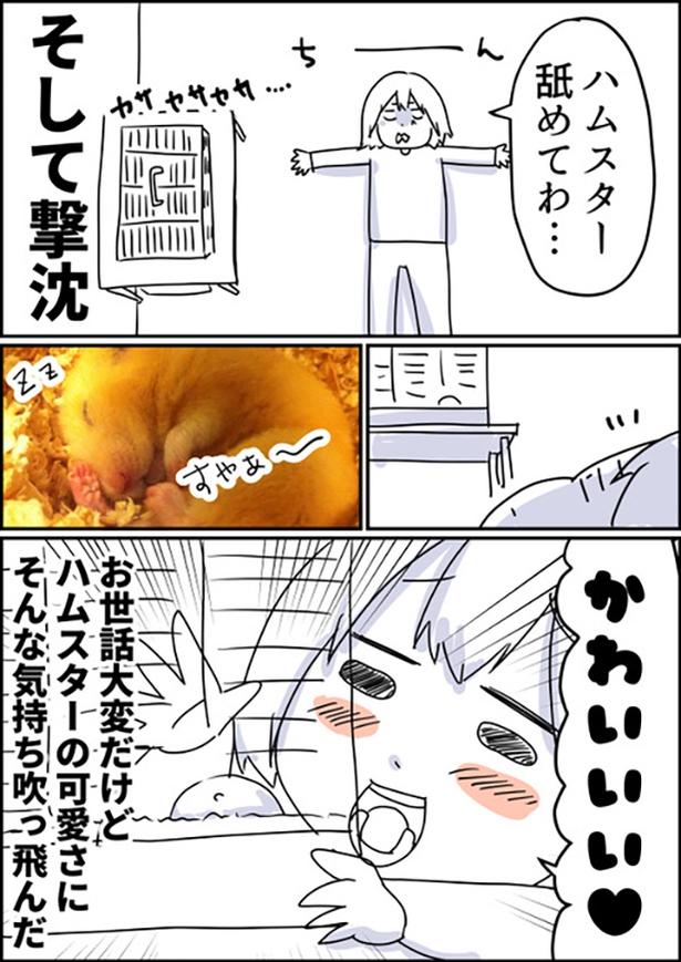 1-3 画像提供：しゃけなかほいさん