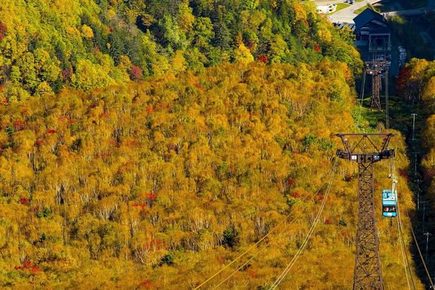 空中から色とりどりの山を眺められる/大雪山(黒岳)の紅葉