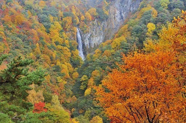 流れる滝が紅葉に趣きを添える/志賀高原の紅葉