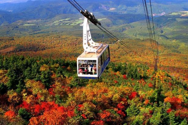 八甲田連峰空の上から紅葉を楽しめる/八甲田連峰の紅葉