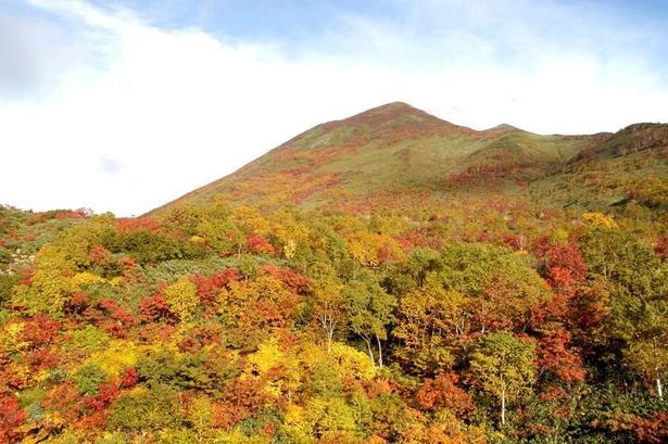 紅葉シーズンには紅葉が山々を覆いつくす/ニセコアンヌプリの紅葉