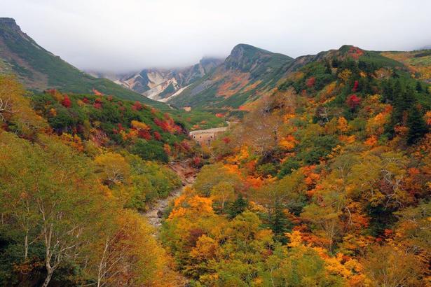 十勝岳に広がる絶景/十勝岳温泉郷の紅葉