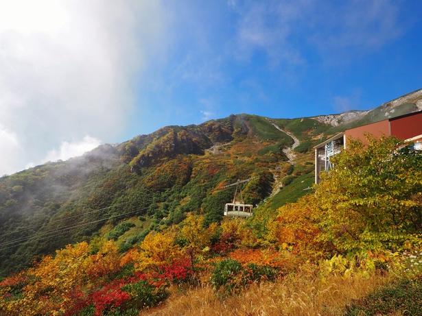 山肌を鮮やかな紅葉が彩る/千畳敷カール(中央アルプス駒ヶ岳ロープウェイ)の紅葉
