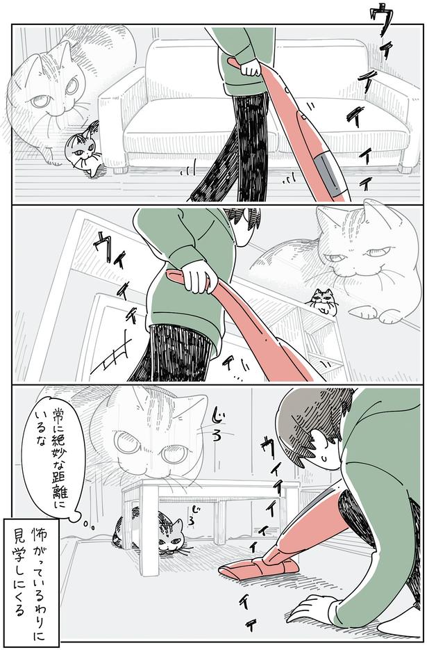 怖がっているわりに （C）キュルZ／KADOKAWA
