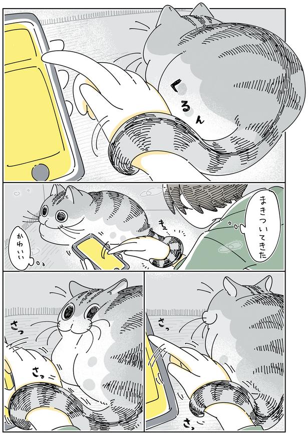 まきついてきた