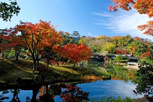 池に真っ赤な紅葉が映し出される/国宝彦根城・名勝玄宮楽々園の紅葉 画像提供:(公社)彦根観光協会
