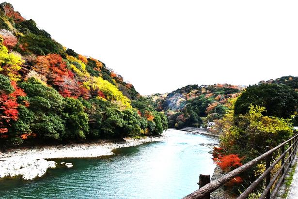 山々の紅葉と宇治川に映る空のコントラスト/宇治川ラインの紅葉 画像提供:宇治川市観光協会