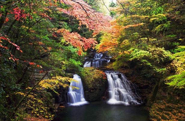 滝に紅葉が加わり、いっそう豊かな景観が楽しめる/赤目四十八滝の紅葉 画像提供:赤目四十八滝渓谷保勝会