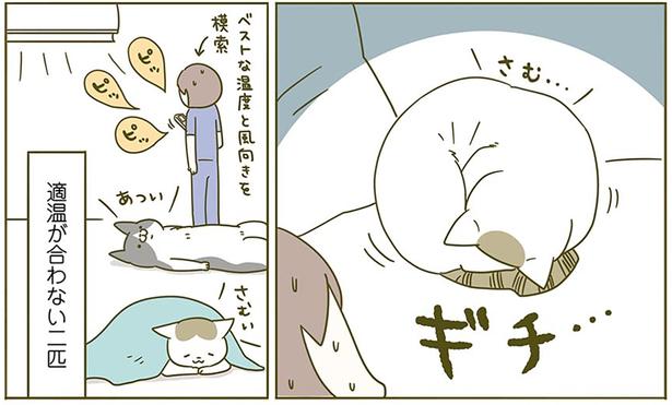 さむ… （C）卵山玉子／KADOKAWA