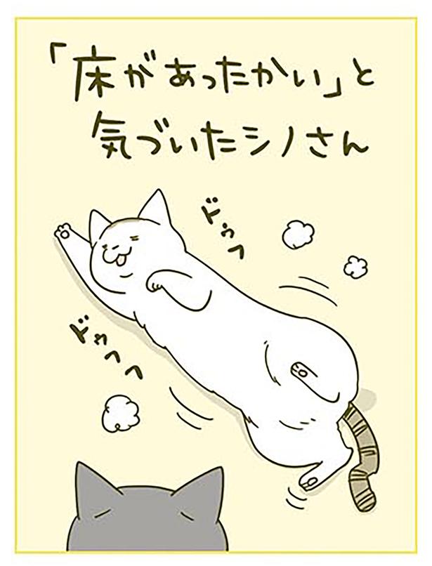 ドゥフフ （C）卵山玉子／KADOKAWA