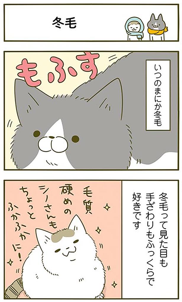 冬毛 （C）卵山玉子／KADOKAWA