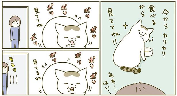 今からカリカリ食べるから （C）卵山玉子／KADOKAWA