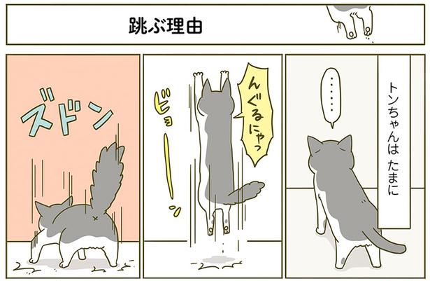 飛ぶ理由 （C）卵山玉子／KADOKAWA