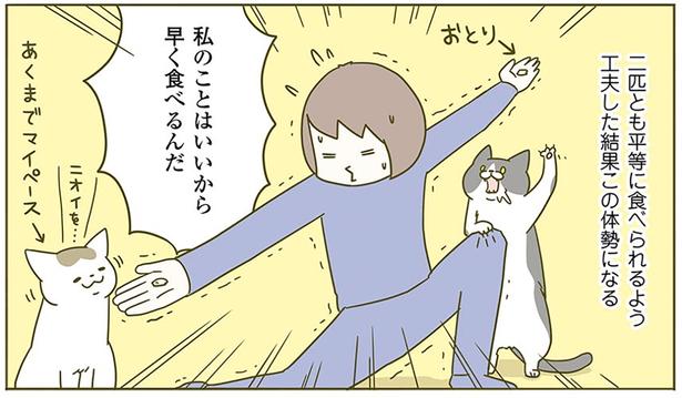 あくまでマイペース （C）卵山玉子／KADOKAWA