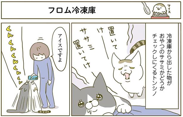 フロム冷凍庫 （C）卵山玉子／KADOKAWA