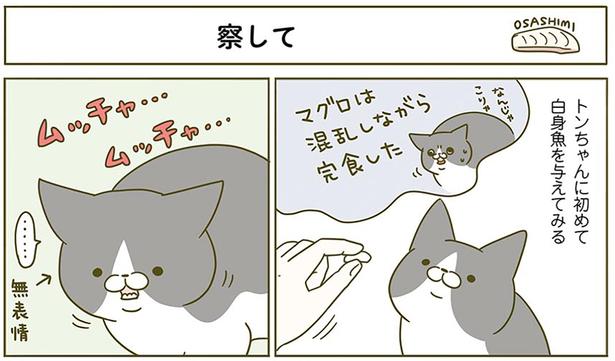 察して （C）卵山玉子／KADOKAWA