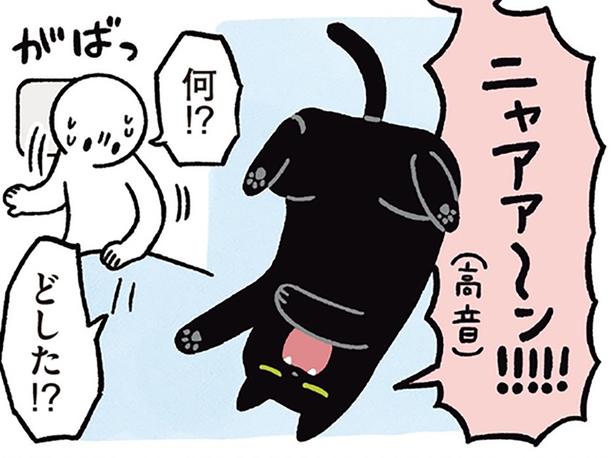 何！？どした！？