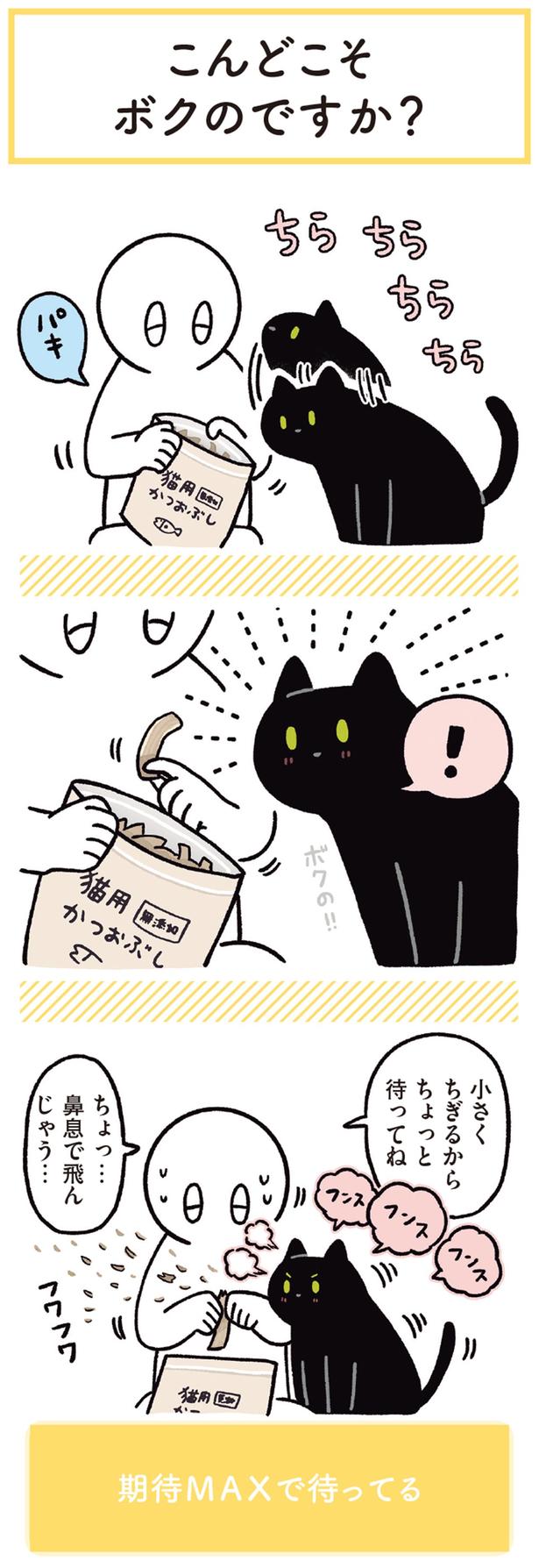 ボクの！！ （C）AKR／KADOKAWA