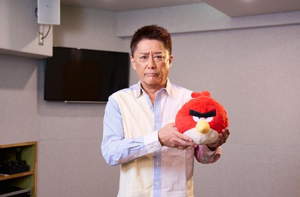 日本一の怒りんぼうとして「アングリーバード」シリーズの顔にもなっている坂上