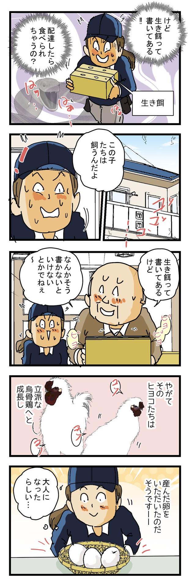 ヒヨコの宅配便2 画像提供：ゆきたこーすけさん(@kosukeyukita)