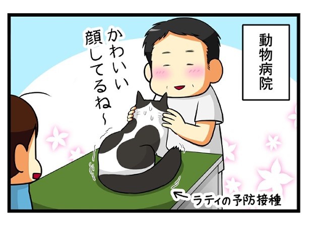 動物好きの先生たちは「かわいい」って言ってくれるけど…？ もちこ(@mogutchecho)