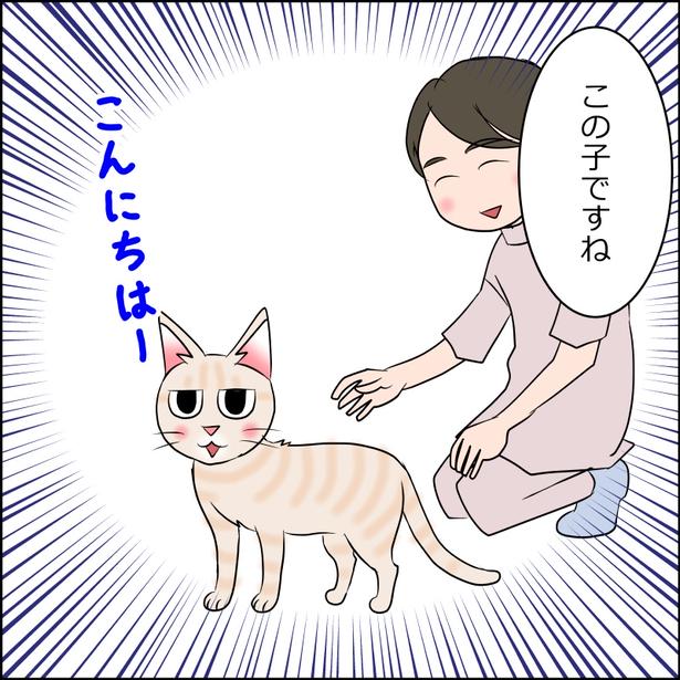 猫が来た日麦編8-1 画像提供:暁龍さん