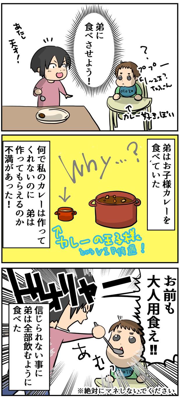 カレー事件2-2 画像提供：しゃけなかほいさん