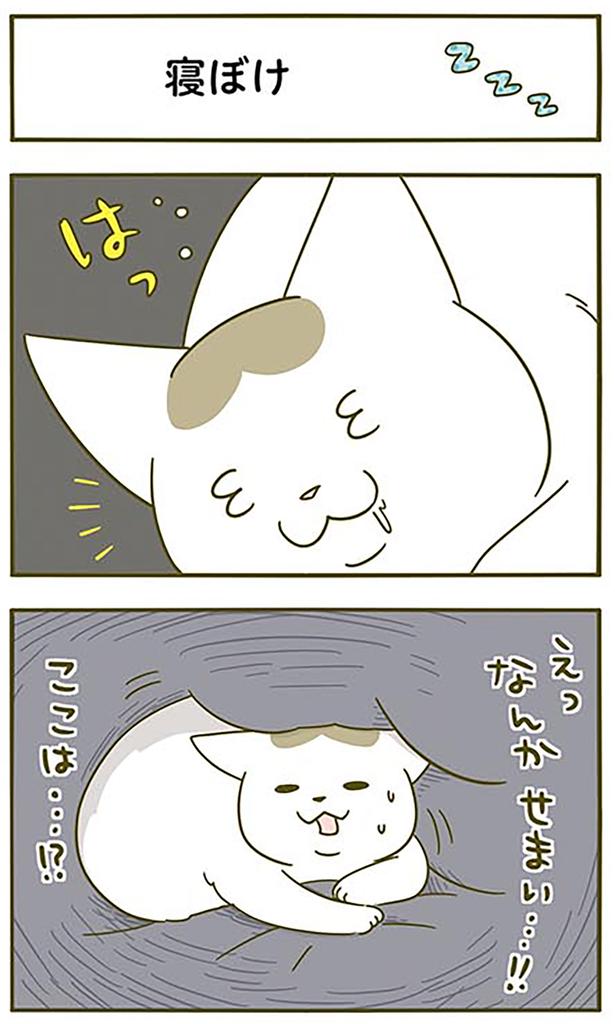 ここは…！？ （C）卵山玉子／KADOKAWA