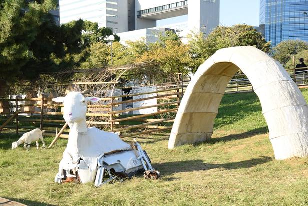 ヤギの⽬ 《ヤギの⽬プロジェクト》 2026 撮影:ソムタム田井