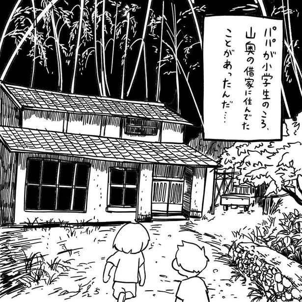 日本人形(2) 画像提供：(C)しろやぎ秋吾／双葉社