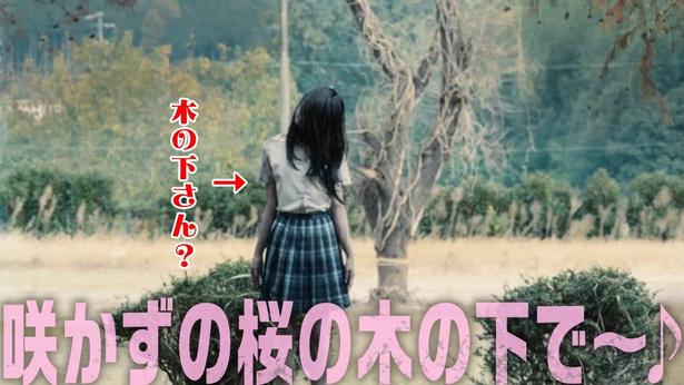 【写真を見る】不穏なメロディに乗せて、異様な気配を放つ1本の枯れ木が姿を現す「咲かずの桜の木の下で♪篇」