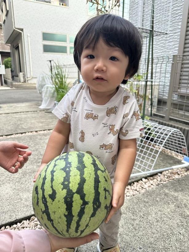 ベランダでこんなに大きなスイカが育つんですね!▶模様も形もキレイなスイカです(⇒次へ) みかんぼーや1987(@mikanbo_ya1987)さんのXより