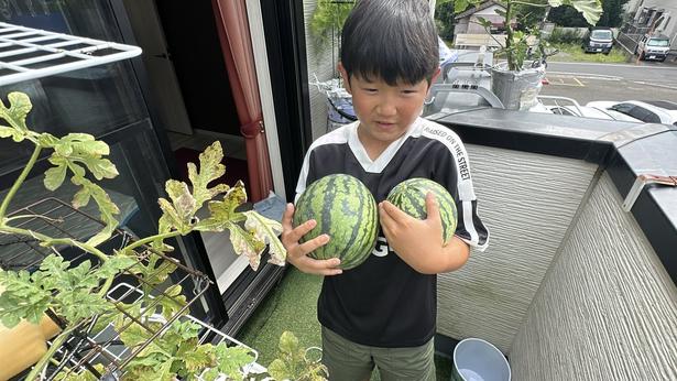 両手に抱えて嬉しそうですね▶お子様のお顔よりも大きなスイカ(⇒次へ) みかんぼーや1987(@mikanbo_ya1987)さんのXより