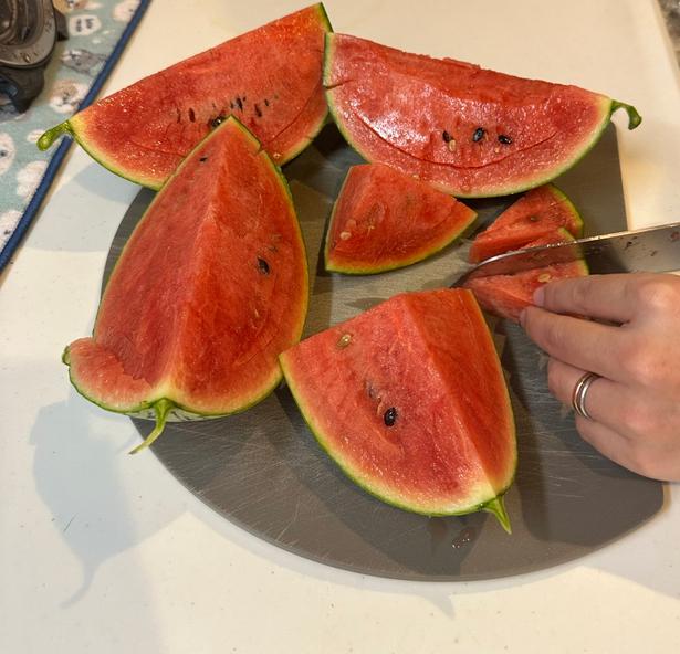 ぎっしりとした果肉感です▶苗から収穫までにかかった期間は、約4か月とのこと(⇒次へ) みかんぼーや1987(@mikanbo_ya1987)さんのXより