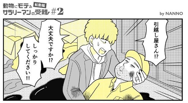 (8) 画像提供：NANNO(@nanno_koresiki)
