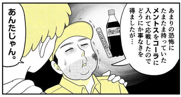(11) 画像提供：NANNO(@nanno_koresiki)