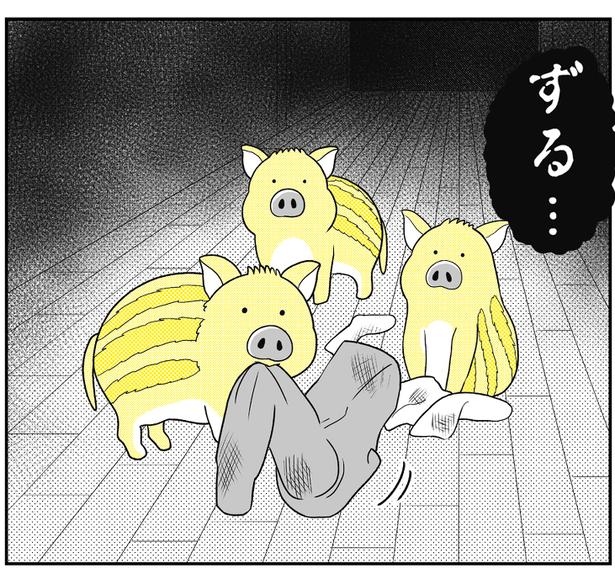 (14) 画像提供：NANNO(@nanno_koresiki)