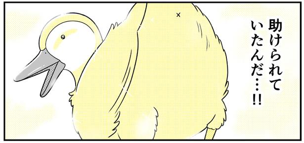 (24) 画像提供：NANNO(@nanno_koresiki)