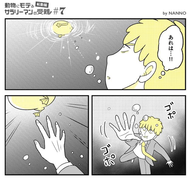 (31) 画像提供：NANNO(@nanno_koresiki)