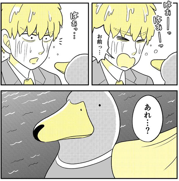 (34) 画像提供：NANNO(@nanno_koresiki)