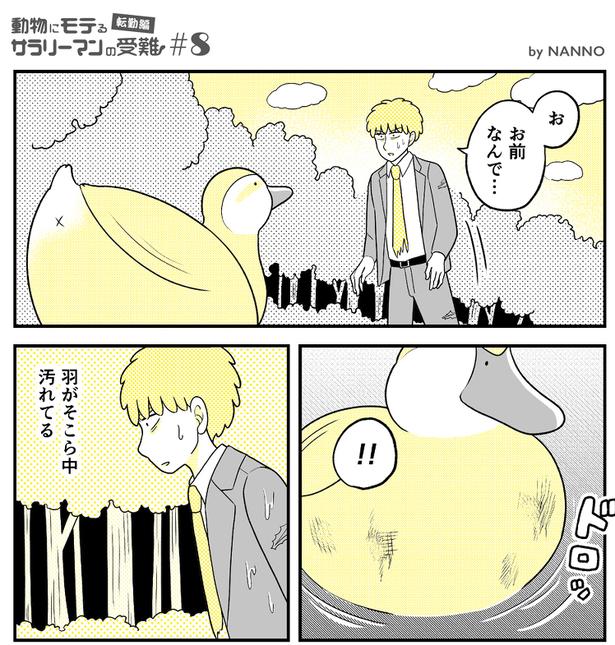 (48) 画像提供：NANNO(@nanno_koresiki)