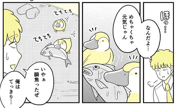 (81) 画像提供：NANNO(@nanno_koresiki)