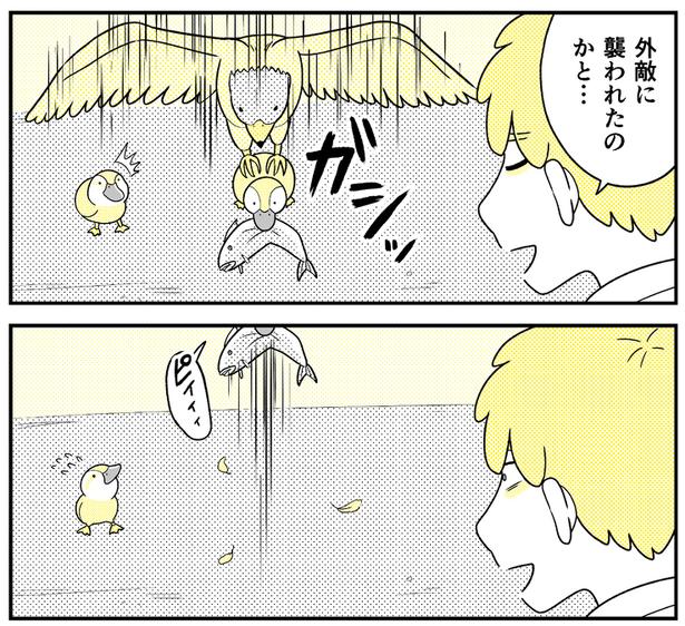 (82) 画像提供：NANNO(@nanno_koresiki)