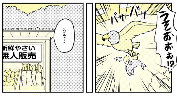 (83) 画像提供：NANNO(@nanno_koresiki)