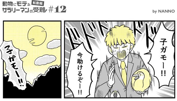 (91) 画像提供：NANNO(@nanno_koresiki)