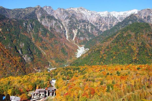 新穂高ロープウェイからの紅葉/新穂高温泉の紅葉 画像提供:新穂高ロープウェイ