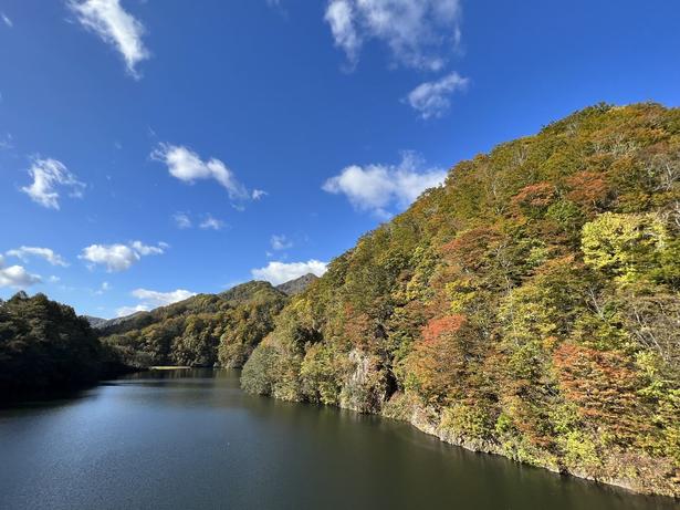 駒ヶ岳ダムから紅葉で彩られた渓谷を鑑賞できる/鳥崎八景の紅葉 画像提供：森観光協会